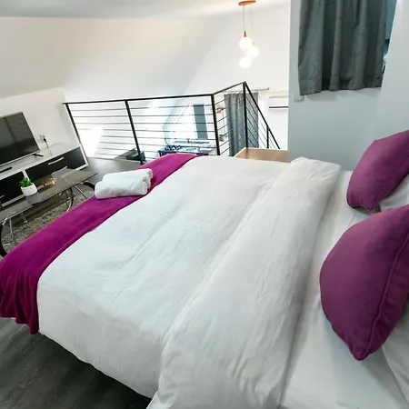 Montana Penthouse Coresi Mall Apartment